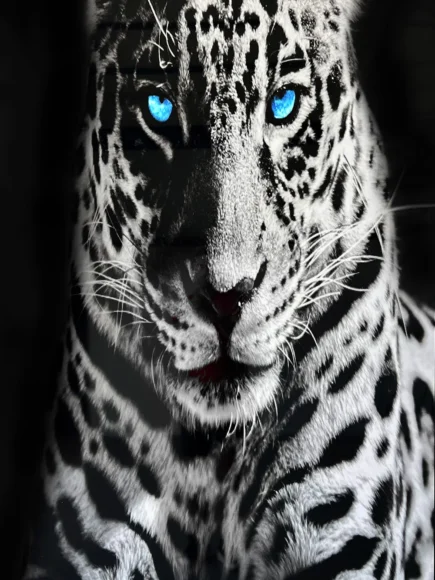 Revestimiento de pared efecto 3D - Tiger