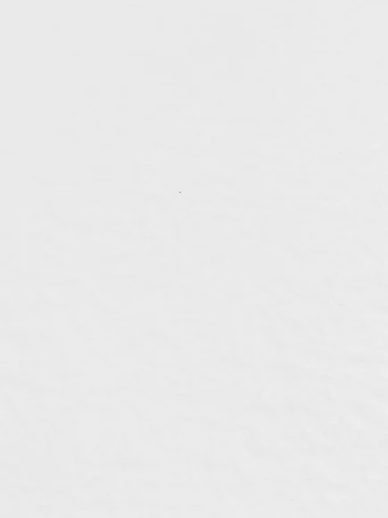 Revestimiento de pared Piedra flexible -  Blanco con relieve
